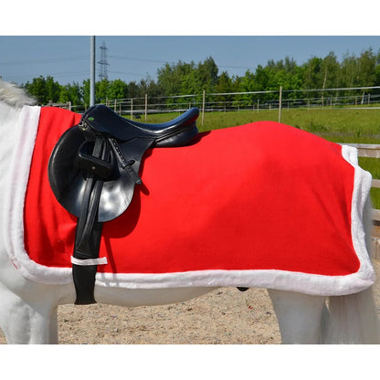 Christmas Santa Exercise Sheet