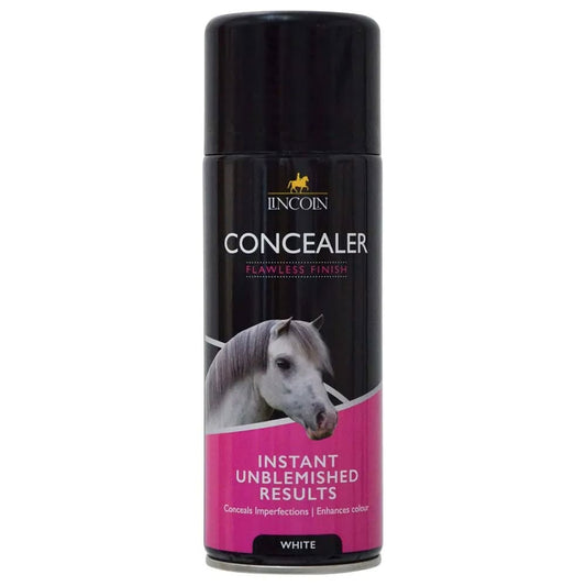Concealer Spray Aerosol
