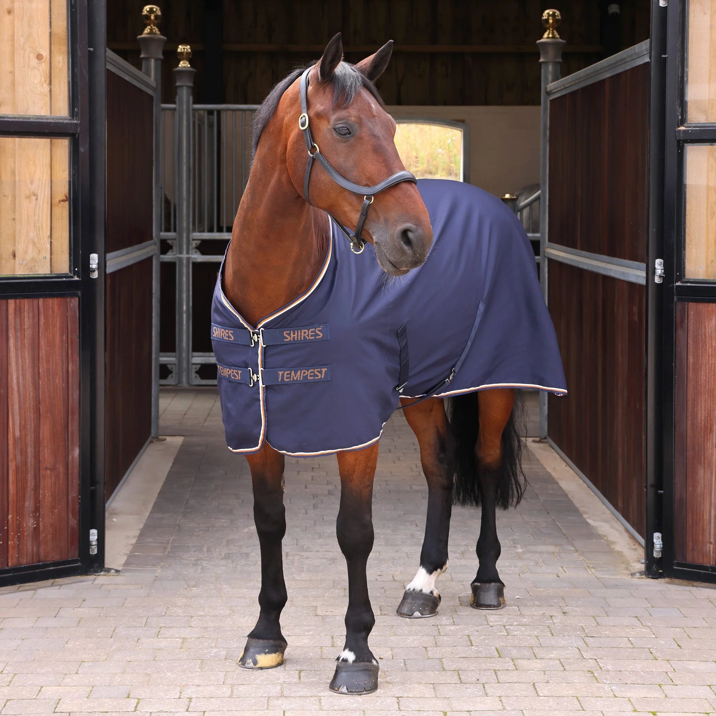 Shires Tempest Original Stable Sheet — Lightweight & Breathable | Ink | 5'0"-7'0"