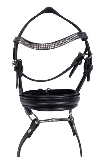 Bridle - Cuddle Pony