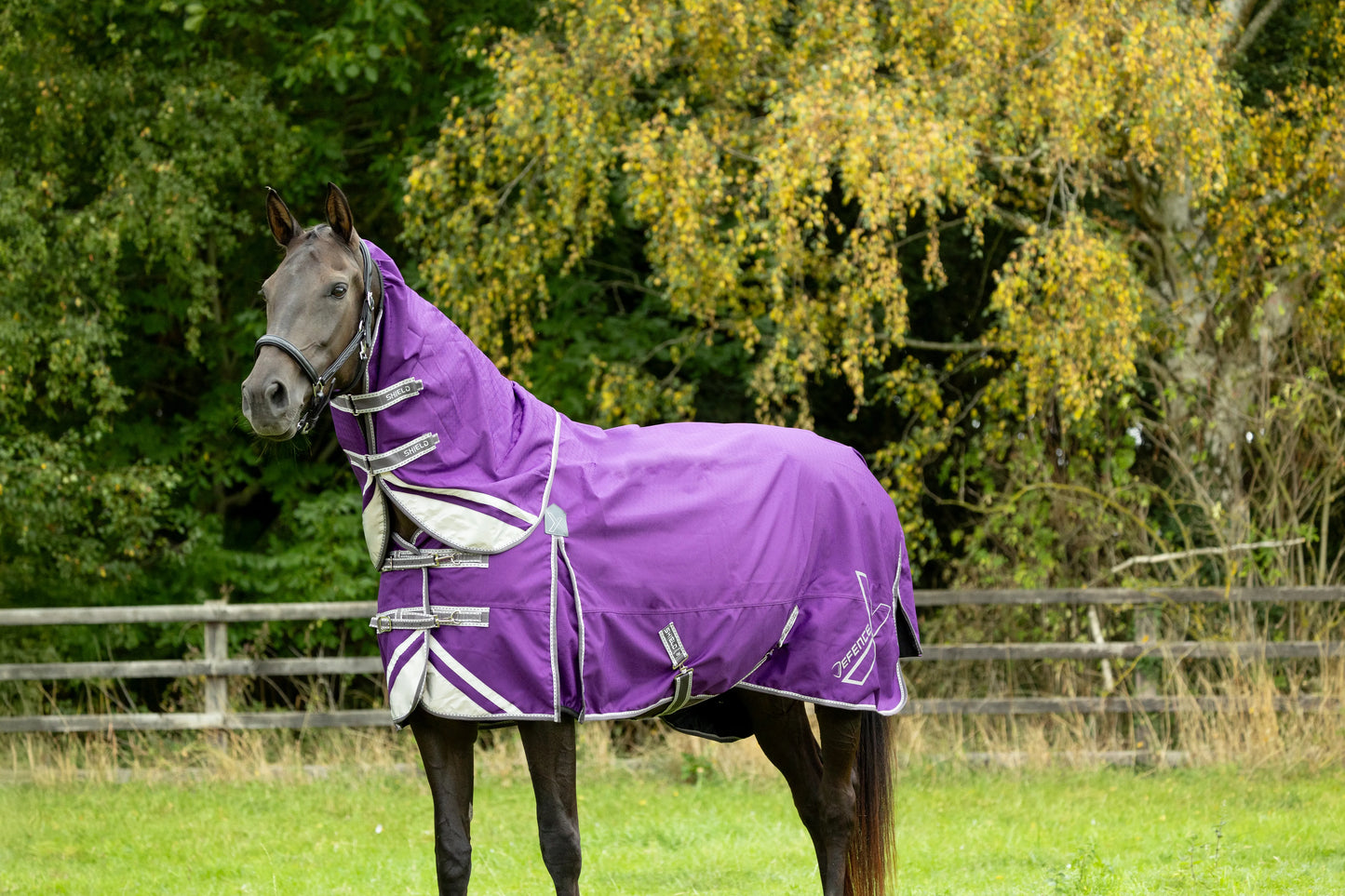 DefenceX Shield 0g Turnout Rug with Detachable Neck 1200 Denier
