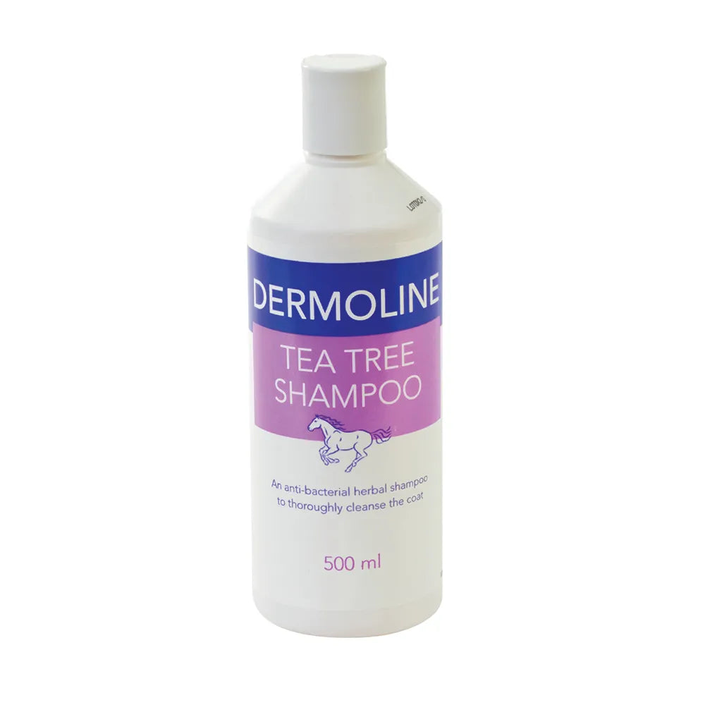 Tea Tree Shampoo - 500ml