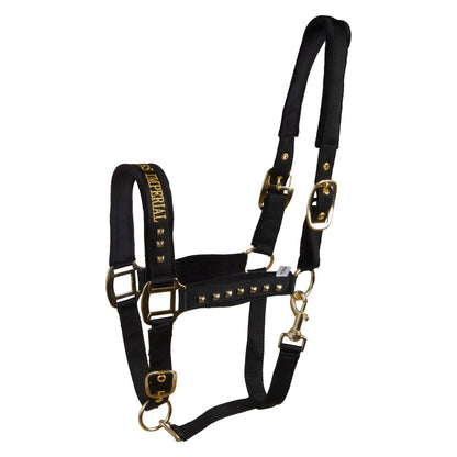 Imperial Riding Devil Headcollar – Stylish Text Noseband Horse Halter