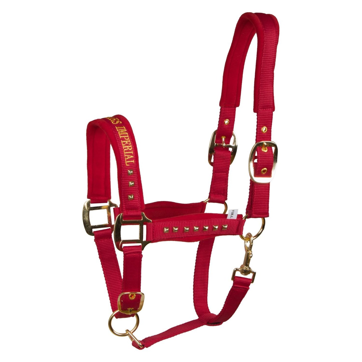 Imperial Riding Devil Headcollar – Stylish Text Noseband Horse Halter