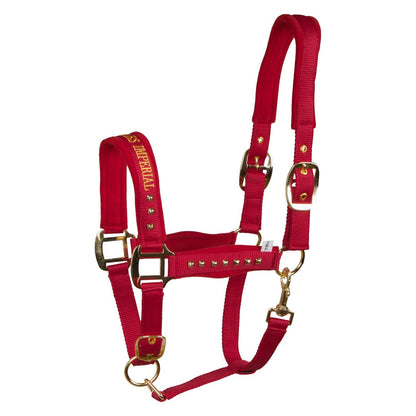 Imperial Riding Devil Headcollar – Stylish Text Noseband Horse Halter