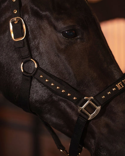 Imperial Riding Devil Headcollar – Stylish Text Noseband Horse Halter