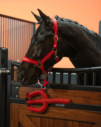 Imperial Riding Devil Headcollar – Stylish Text Noseband Horse Halter