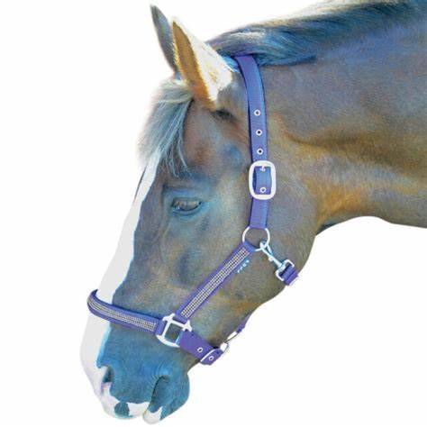 Diamante Headcollar (RRP £11.50)