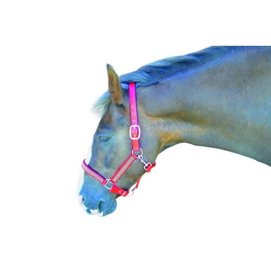 Diamante Headcollar (RRP £11.50)