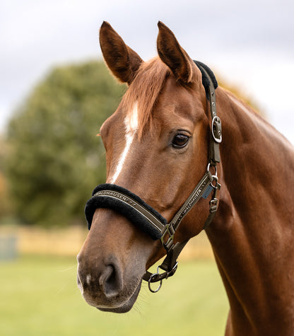 Waldhausen Elegant Fleece Headcollar – Rhinestone & Fashion Ribbon Detail