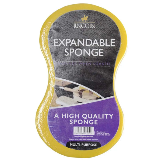 Expandable Sponge