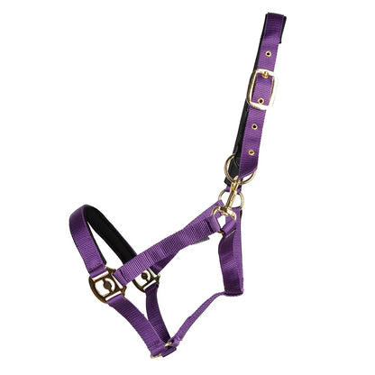 Equestrian Fieldsafe Head Collar