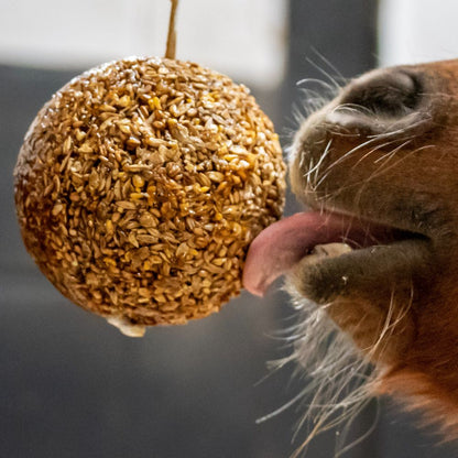 Granola Stall Ball