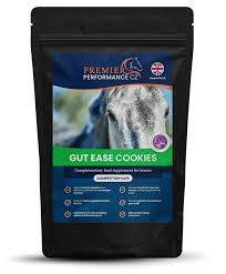 Gut Ease Cookies - Pack of 10