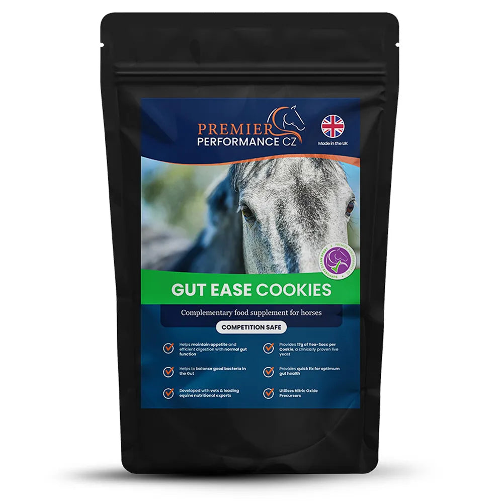 Gut Ease Cookies (Pack of 10)