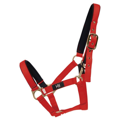 Equestrian Fieldsafe Head Collar