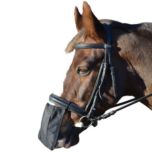 Equestrian Nose Shield
