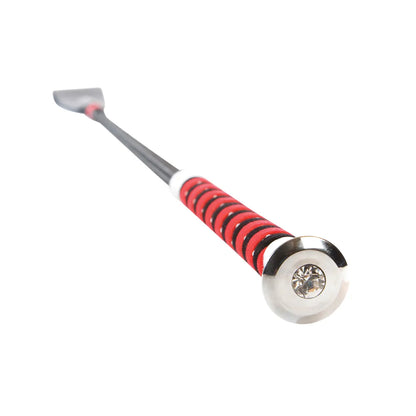 Diamante Riding Whip