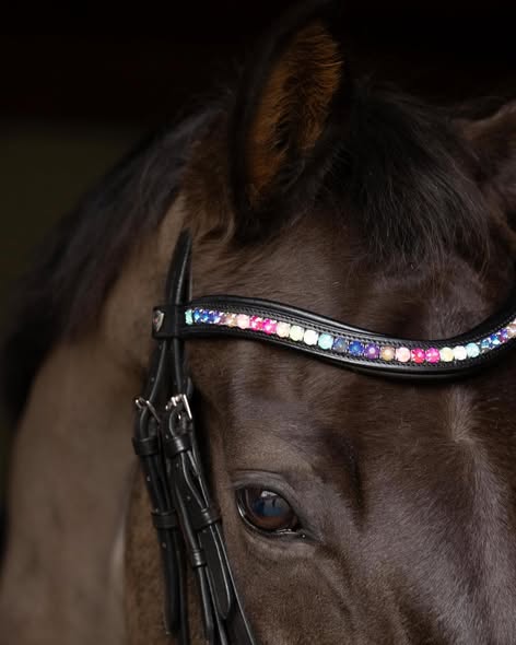 Propresicce Signature Curved Diamante Browband Rainbow