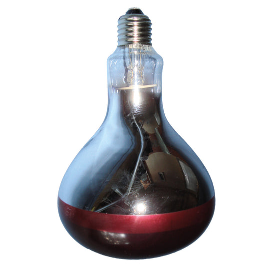 Intelec Hard Glass Infra-Red Bulb