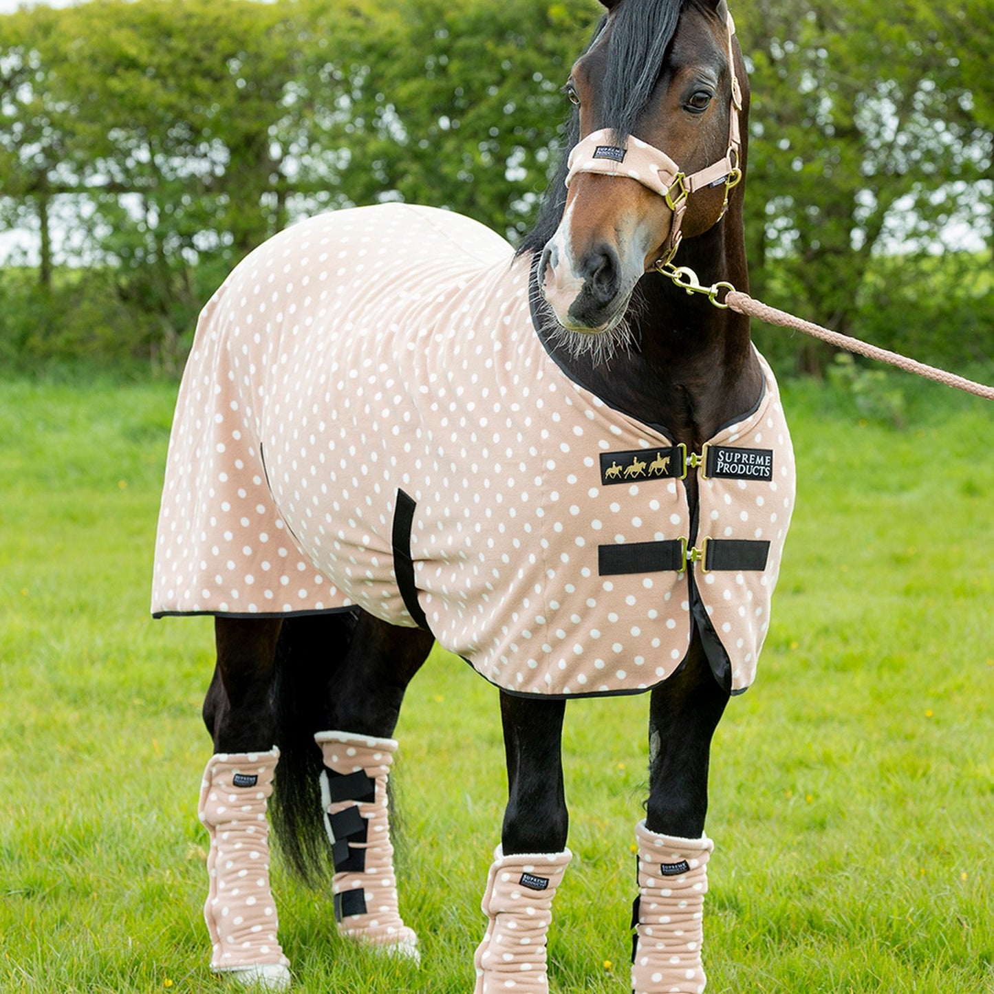 Supreme Products Dotty Fleece Rug – Luxurious Latte