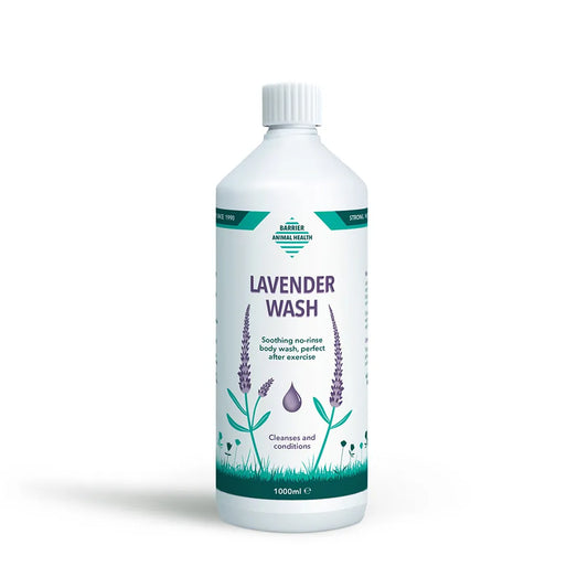 Lavender Wash