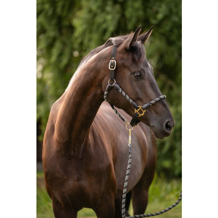 Limone Sportive Headcollar & Rope Set - Black