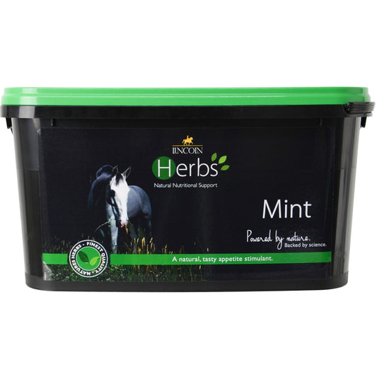 Herbs Mint