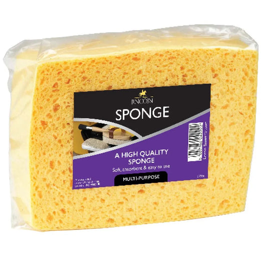 Sponge