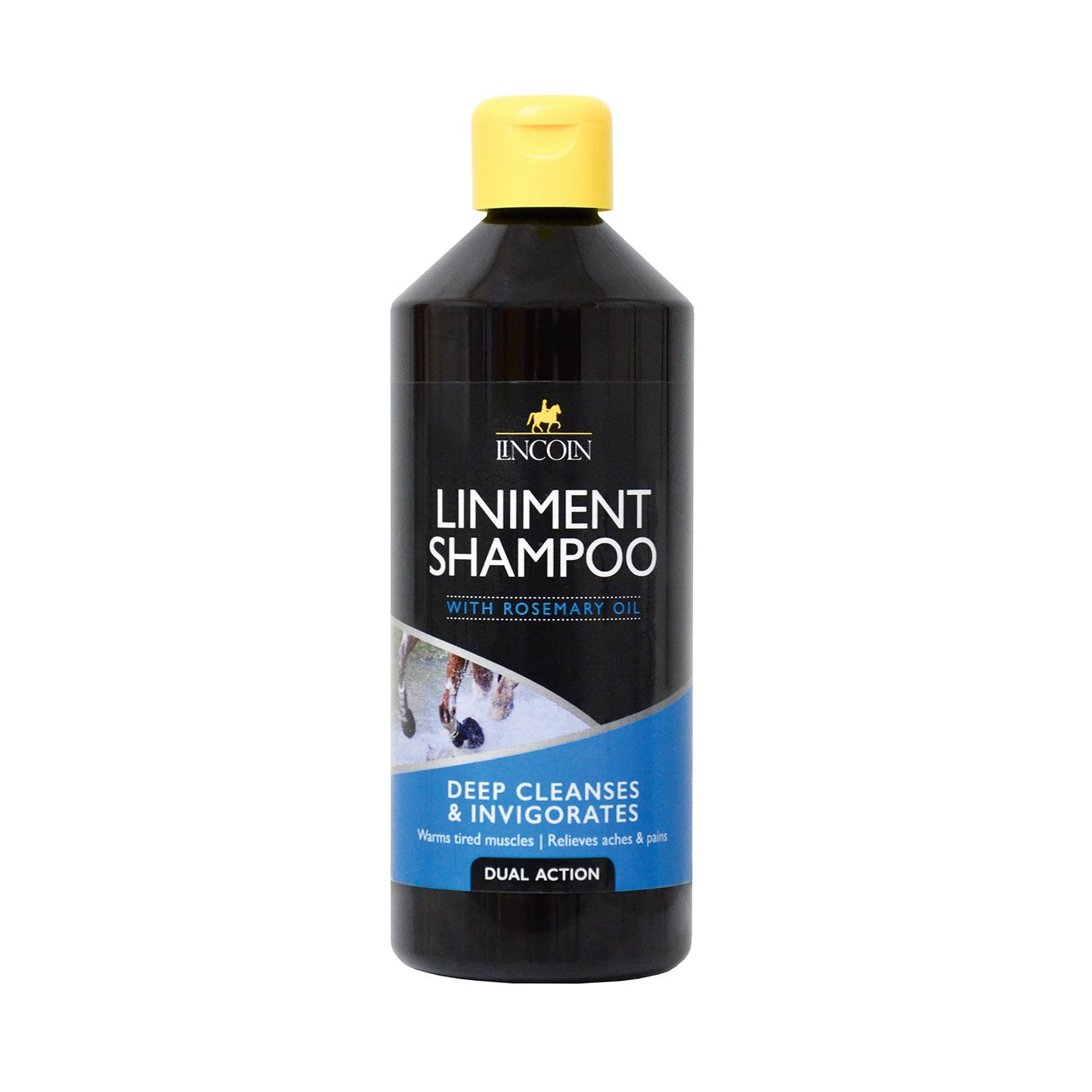 Lincoln Liniment Shampoo for Horses | Rosemary Oil Muscle Recovery Wash