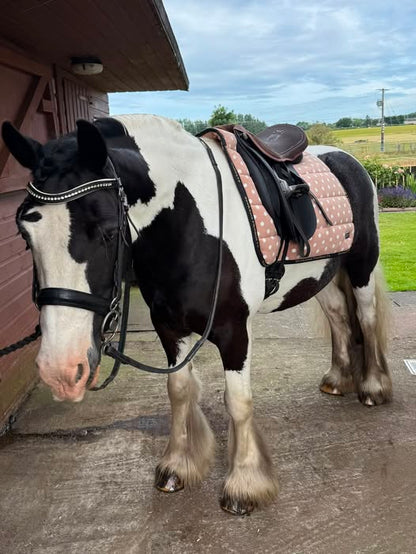Supreme Products Dotty Fleece Saddle Pad  - Luxurious Latte