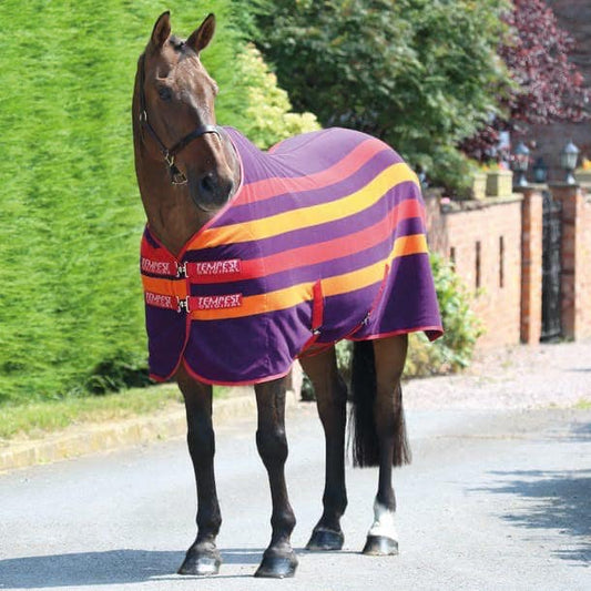 Purple Stripe Fleece Rug (RRP £42.00)