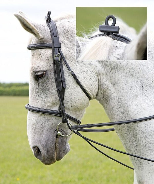 Elastic Training Reins
