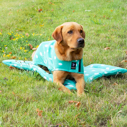 Supreme Products Dotty Fleece Dog Bed