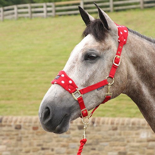 Dotty Fleece Head Collar & Lead Rope - Rosette RED