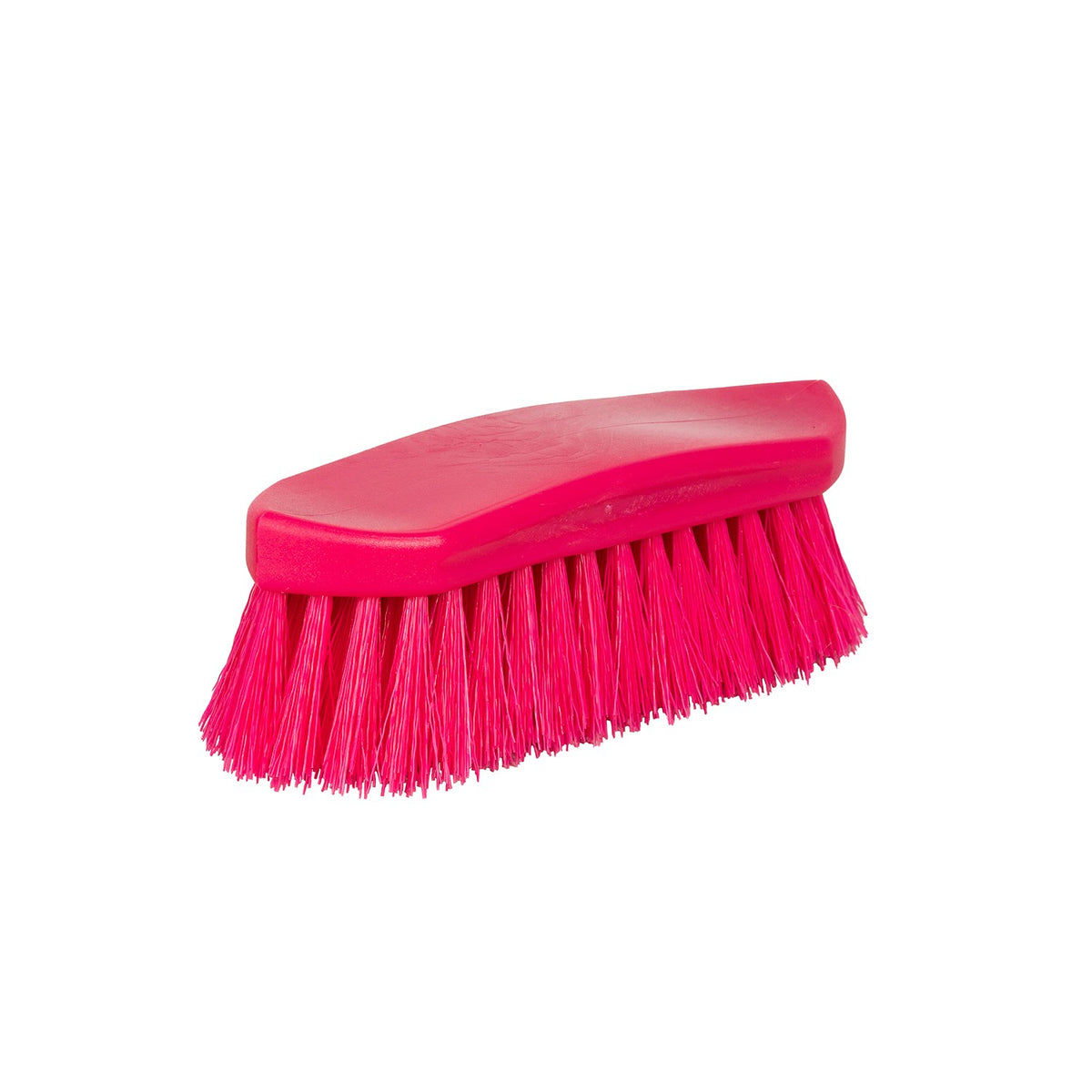 ProGroom Vivid Dandy Brush – Stiff Horse Grooming Brush