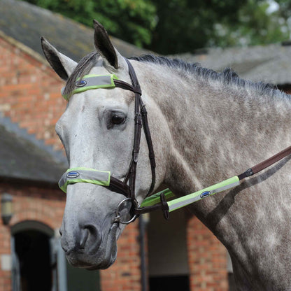 Reflective Bridle Kit (4 Piece) Normally £19.99