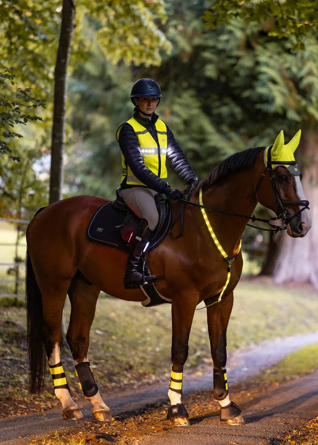 Woof Wear LED Horse Neck Band - Hi Viz Yellow
