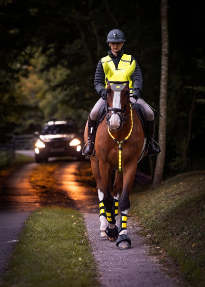 Woof Wear LED Horse Neck Band - Hi Viz Yellow