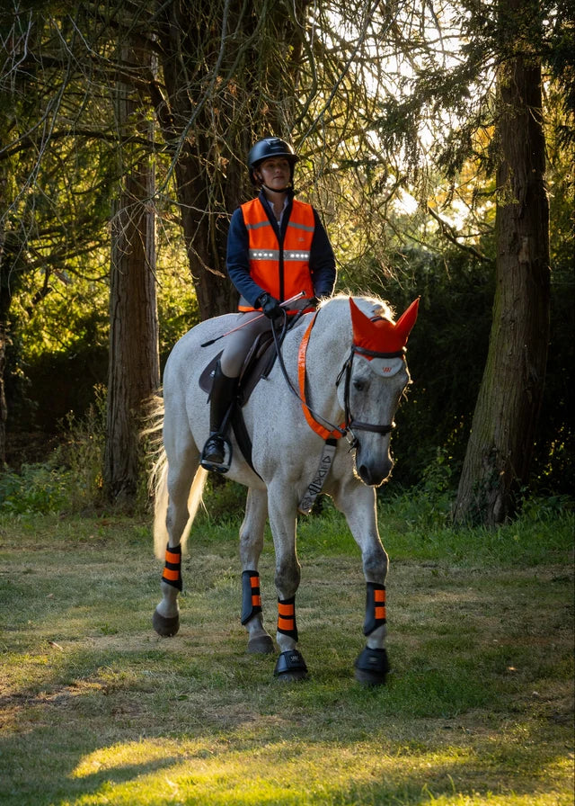 Woof Wear LED Hi-Vis Riding Waistcoat - Orange
